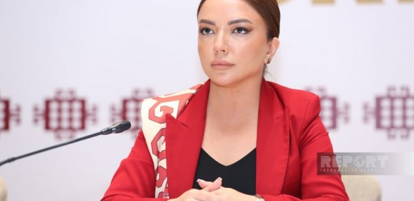 Aygün Əliyeva: QHT-lərin “Qərbi Azərbaycana qayıdış” istiqaməti üzrə indiki fəallığı heç vaxt olmayıb