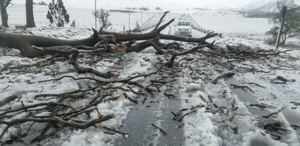 CAR-da əlverişsiz hava səbəbindən 49 nəfər ölüb
