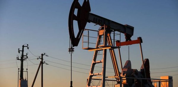 Azərbaycan neftinin qiyməti 80 dollara yaxınlaşıb