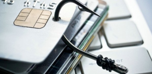 İdarə rəisi: Bank kartlarından kiber üsulla oğurluq halları artıb