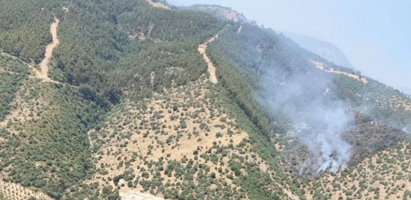 Manisada meşə yanğını BAŞLADI