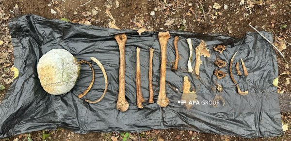 Cəbrayılda insana məxsus olması ehtimal edilən sümük qalıqları tapılıb