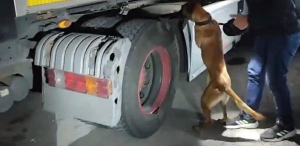 Türkiyədə ƏMƏLİYYAT: 18 kilo narkotik ələ keçirildi