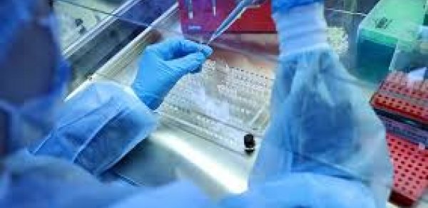 Çində iki yeni ölümcül virus aşkarlanıb