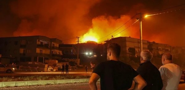 Türkiyədə son 5 gündə 342 meşə yanğını baş verib