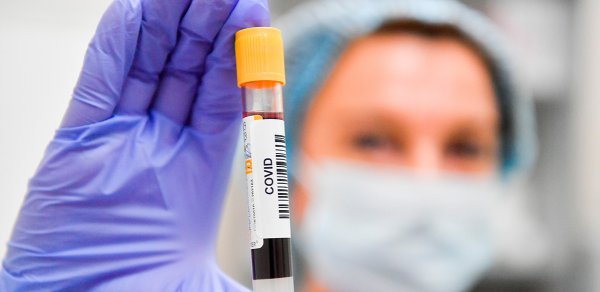 Azərbaycanda yenidən koronavirus yayılır - Rəsmi