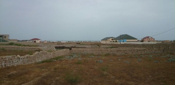 Torpaq sahiblərinin DİQQƏTİNƏ: Yenilik tətbiq edilə bilər - VİDEO 