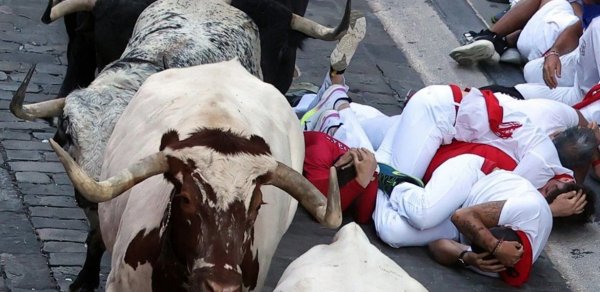 İspaniyada öküz qaçışı zamanı 8 nəfər xəsarət aldı