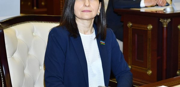 Sevil Mikayılova: “Böyük Qayıdış proqramı uğurla icra olunur”