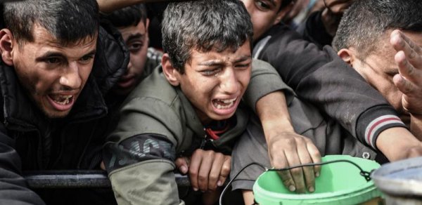 Dünya Ərzaq Proqramı: Qəzza əhalisinin üçdə biri bir neçə gündür yemək yemir