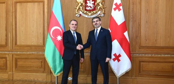 Ceyhun Bayramov Gürcüstan Prezidenti ilə görüşdü