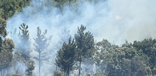 ETSN: ani ehtiyatsızlıq qarşısıalınmaz yanğınlara səbəb ola bilər
