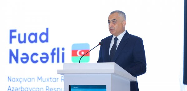 Fuad Nəcəfli: Muxtar respublikada son iki il ərzində 6 yeni yataq kəşf edilib