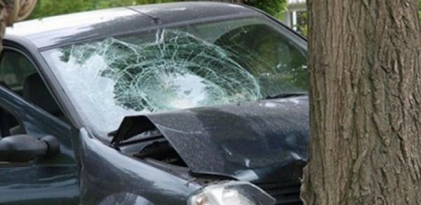 Göygöldə avtomobil ağaca çırpılıb, sürücü xəsarət alıb