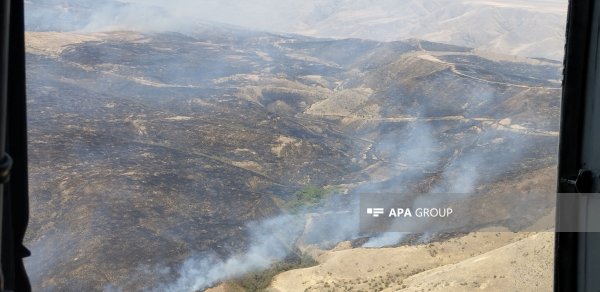 Talış və Tapqaraqoyunlu kəndləri istiqamətində yanğınlar meşəlik əraziyə keçib