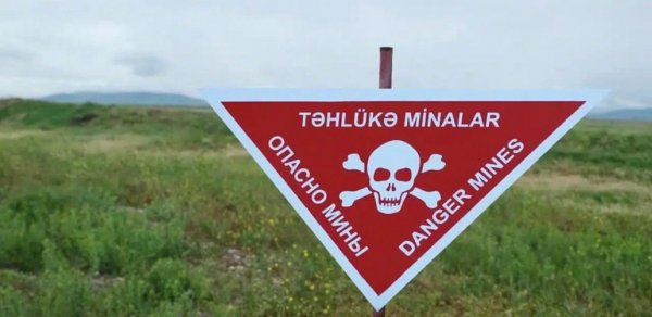 Azad edilmiş ərazilərdə daha 61 mina aşkarlandı