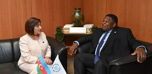 Sahibə Qafarova Parlamentlərarası İttifaqın Baş katibi ilə görüşüb