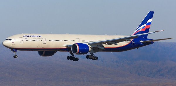 "Aeroflot" iyulun 29-da "Şeremetyevo" hava limanında 53 reysi ləğv edib