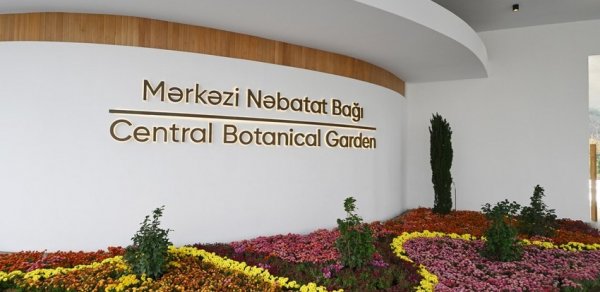 Mərkəzi Nəbatat Bağına təcili tibbi yardım avtomobili daxil olmayıb - RƏSMİ
