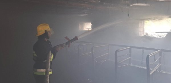 Şərurda 16.5 ton ot bağlaması yanıb