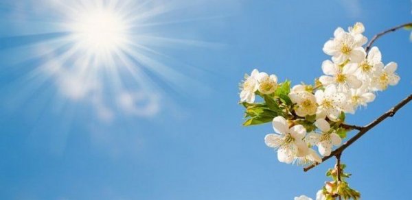 İsti hava şəraiti davam edir - FAKTİKİ HAVA
