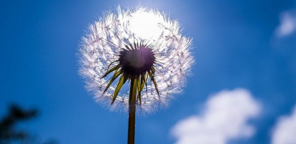 Ötən ay havanın temperaturu iqlim normasından yuxarı olub - RƏSMİ