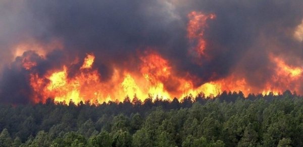 Fransada son 76 ilin ən böyük yanğınları qeydə alınıb