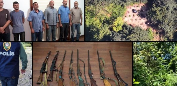 Balakəndə dağda narkotik becərən silahlı dəstə ifşa olunaraq həbs edilib - FOTOLAR