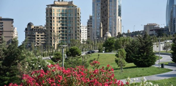"Təzəpirin ətrafı yenidən qurulacaq, süni göl yaradılacaq"