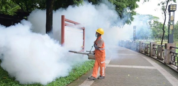Çinin cənubunda 1,3 mindən çox chikungunyaya yoluxma aşkar edilib