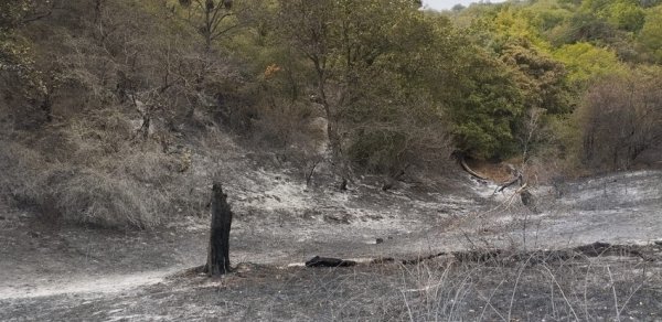 Ağdam və Xocavənddə baş verən yanğınlar söndürülüb