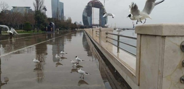 Sabah Bakıda yağış yağacaq, şimşək çaxacaq