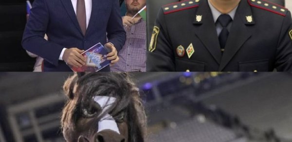 Azərbaycanda idman polisi yaradılmalıdır? - "Qarabağ"ın maskotu "Kəhər" müzakirə yaratdı