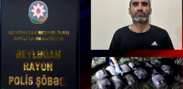 Beyləqanda 16 kiloqram marixuana və həşiş aşkarlanıb
