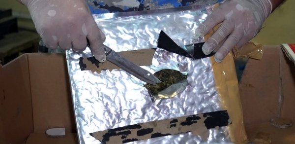 “Kahı” yükü aparan avtomobildən 70 kiloqram marixuana aşkar edildi
