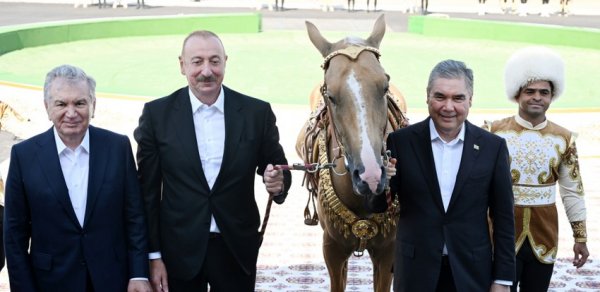 İlham Əliyevə “Axaltəkə” atı hədiyyə edildi