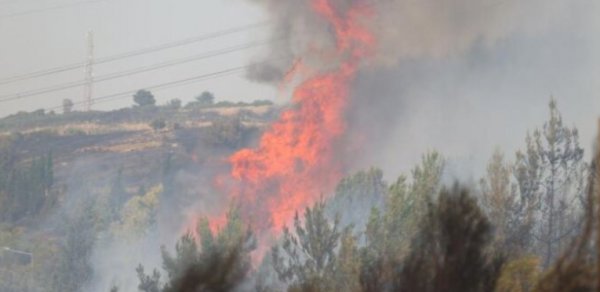 Qubada dağlıq ərazidə yanğın başlayıb