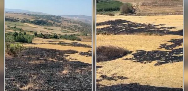 Şamaxıda yanğın törədən şəxs məsuliyyətə cəlb olunub