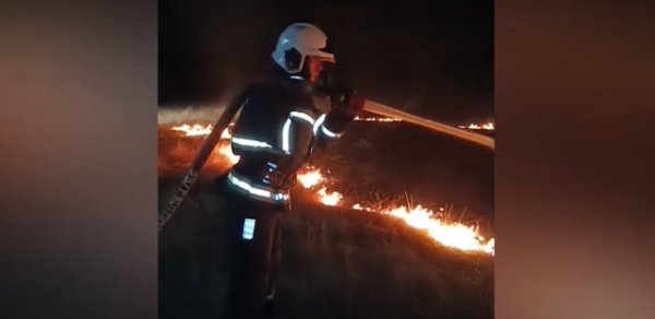 Füzulidə taxıl sahəsi yandı - VİDEO