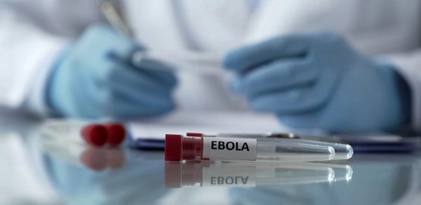 Konqoda Ebola virusu yenidən yayıldı: Ölənlər var