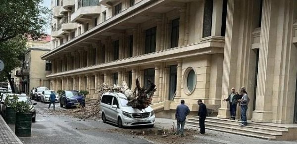 Bakıda ağac avtomobilin üzərinə aşdı