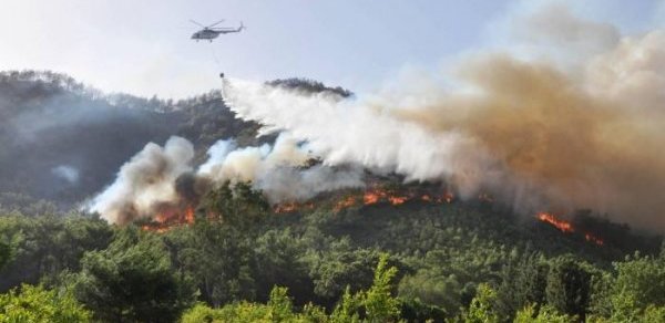 Türkiyədə daha bir bölgədə meşə yanğını başlayıb