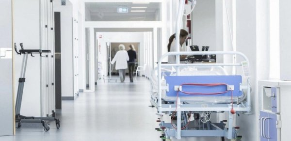 Şəkidə qoz ağacından yıxılan 65 yaşlı kişi ölüb