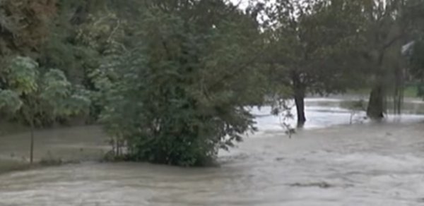 Gürcüstana yağan yağış Balakəndə fəlakətlər törətdi