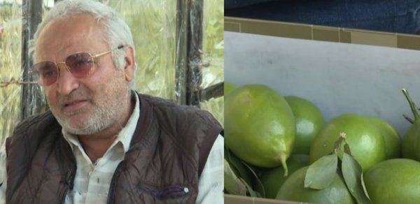 Limon satır, hesabında milyonu var - Video