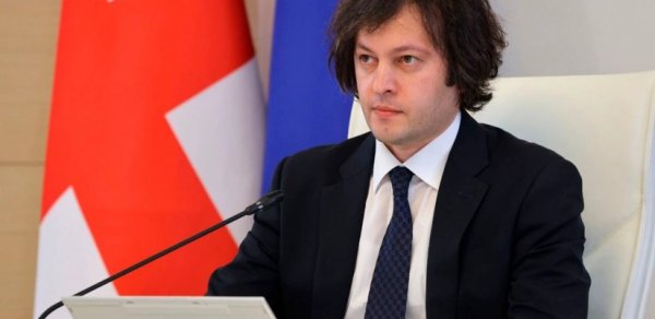 İrakli Kobaxidze: Aksiyaya əcnəbilər və diplomatlar dəstək verib
