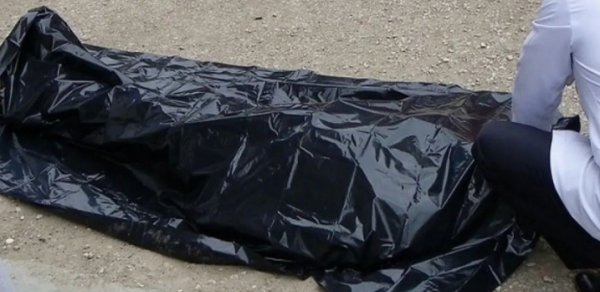 Zaqatalada 44 yaşlı kişi ağacdan yıxılaraq ölüb