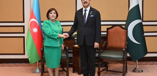 Sahibə Qafarova Pakistan Senatının sədri ilə görüşüb