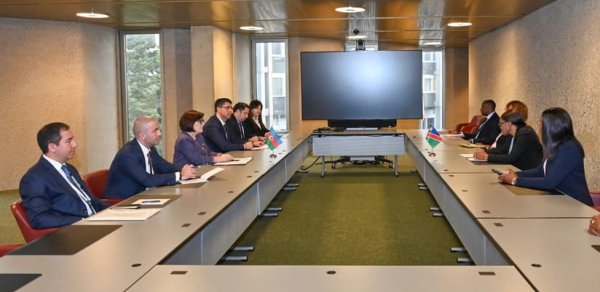 Sahibə Qafarova Cenevrədə Namibiya və Bosniya və Herseqovinanın parlament sədrləri ilə görüşüb