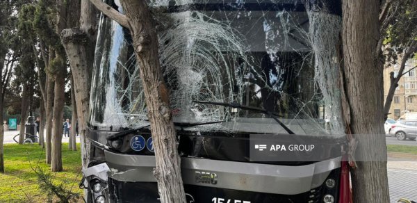 "Bakubus" Bulvara girdi, ağacları aşırtdı - VİDEO